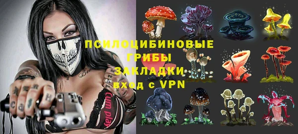 каннабис Белокуриха