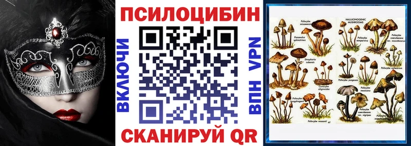 Галлюциногенные грибы Psilocybe наркошоп Невель